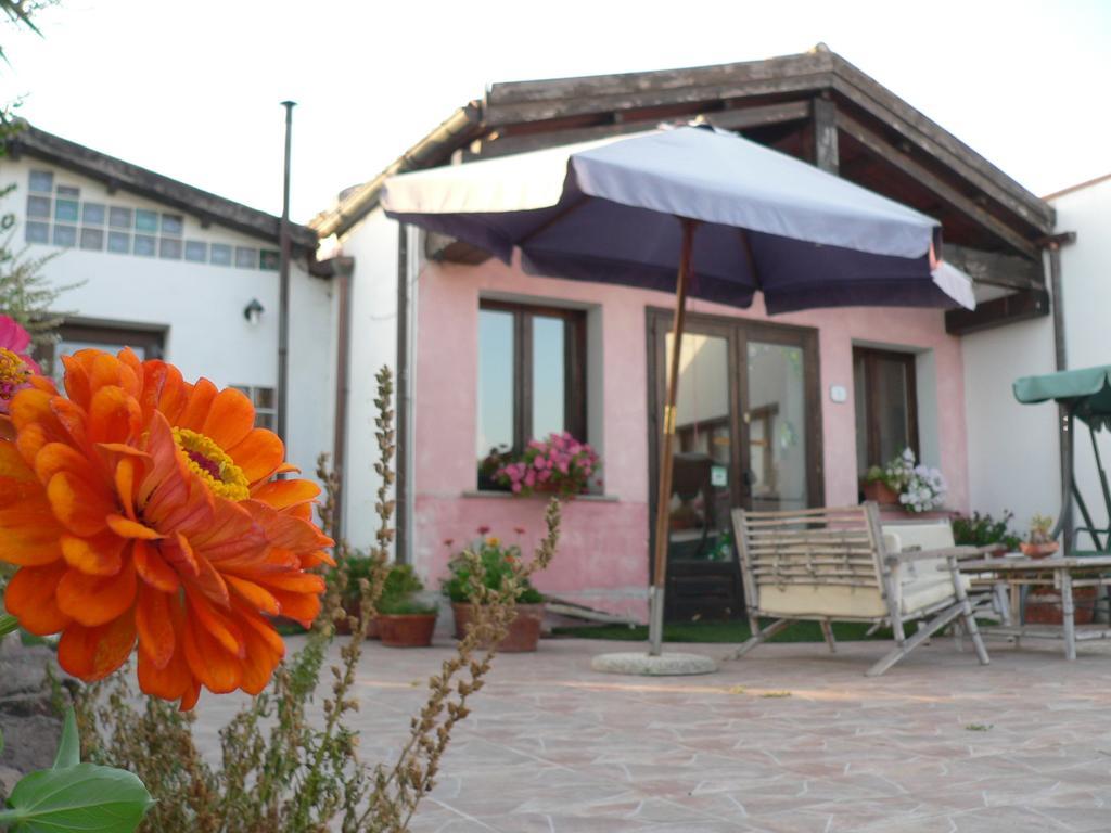 Agriturismo Sa Tanca Noa Tergu Exterior photo