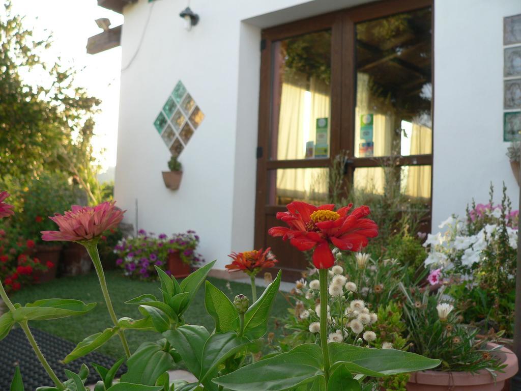 Agriturismo Sa Tanca Noa Tergu Exterior photo