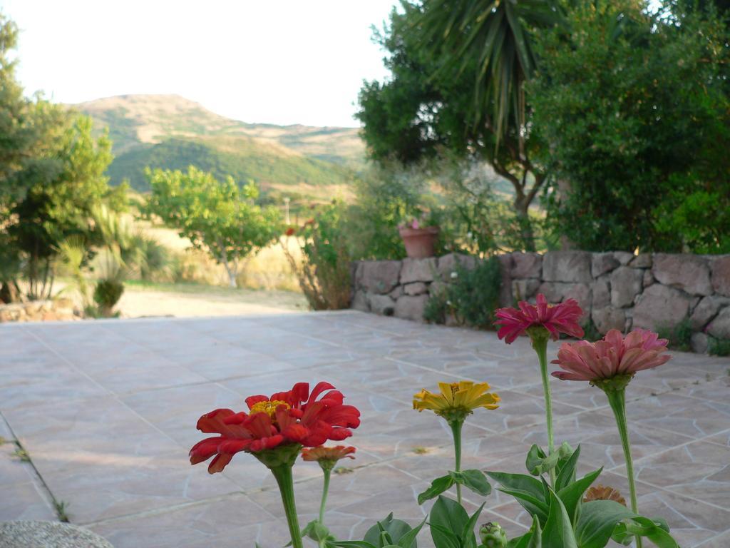 Agriturismo Sa Tanca Noa Tergu Exterior photo