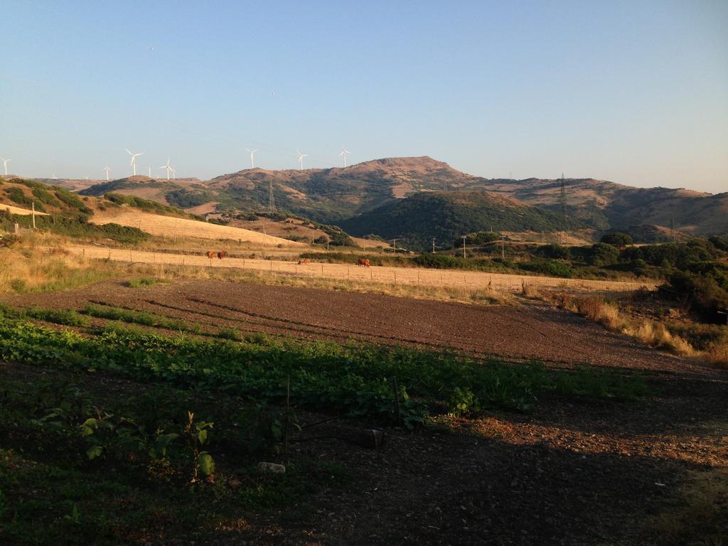 Agriturismo Sa Tanca Noa Tergu Exterior photo