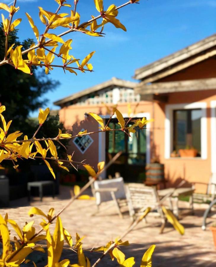 Agriturismo Sa Tanca Noa Tergu Exterior photo